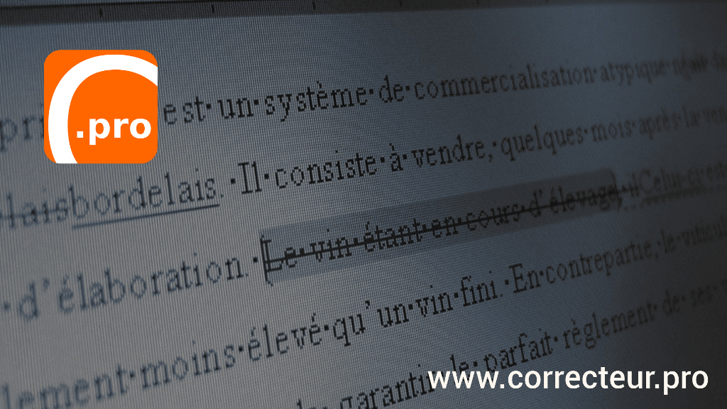 Correction de mémoire, thèse, roman, rapport, site, CV